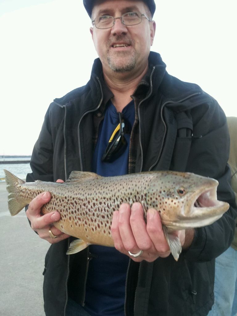 brown trout